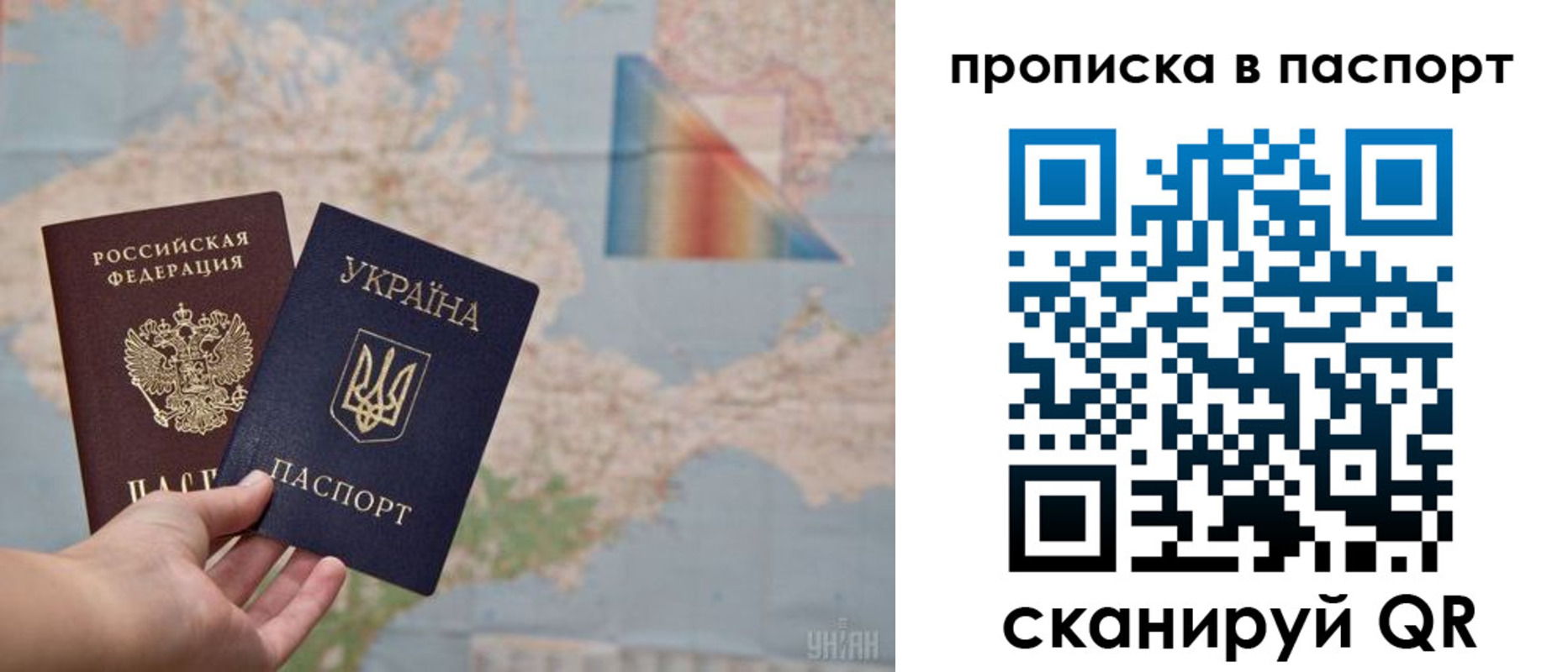прописка поиск в Новгородской области